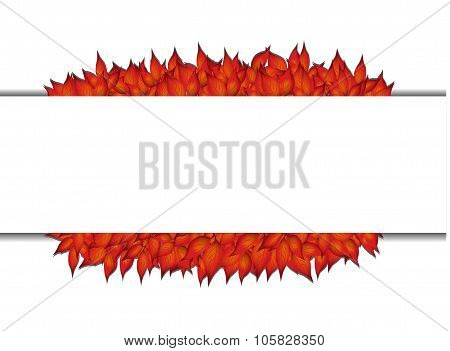 Autumn Banner With Autumn Leaves