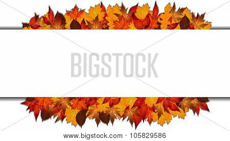 Autumn Leaves Background With Center Text