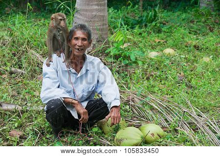 Farmer with monkey the coconut plantation at Kog Samui, Thailand.