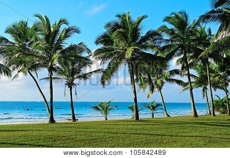 Beach Diani