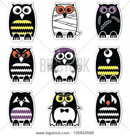 Halloween scary, spooky, mummy, cyclops, vampire. Monster, zombie owls in color in label style