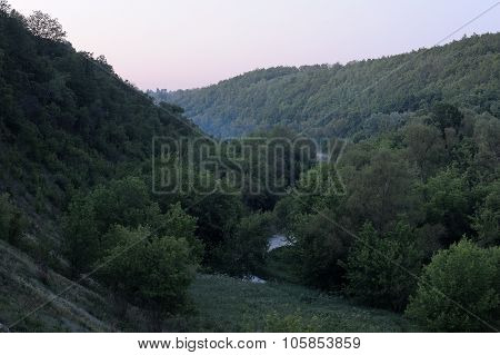 Green Trees On Hill Slope