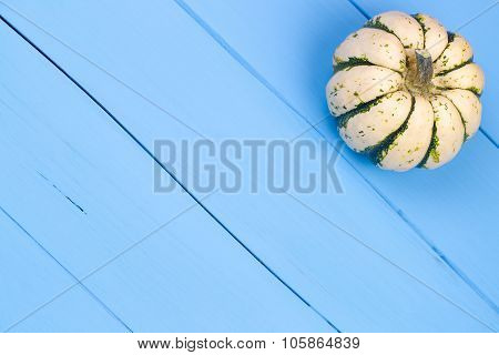Small Pumpkin On A Blue Background