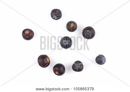 Dried Black Currant