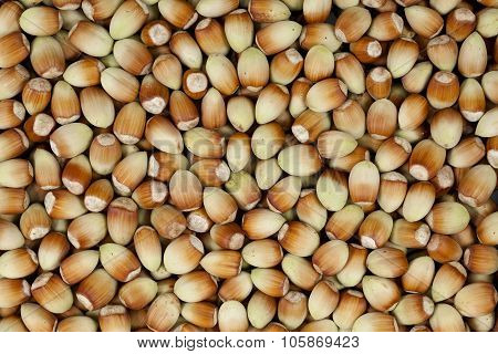 Hazelnut