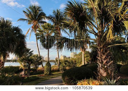 View from Marie Selby Botanical Gardens in Sarasota, FL