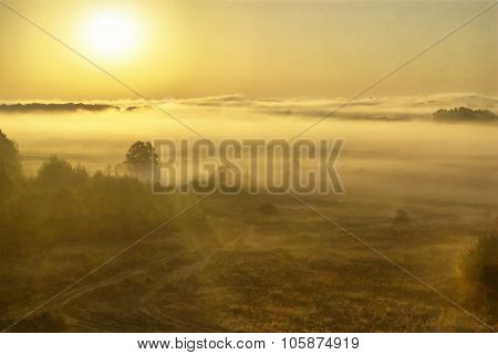 Summer misty morning