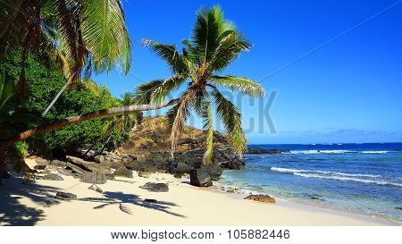 Secret palm beach