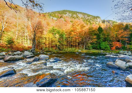 Adirondacks Fall Foliage, New York