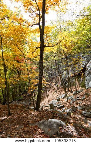 Down The Breackneck Ridge