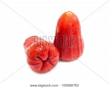 Roes apple fruit isolated on white background