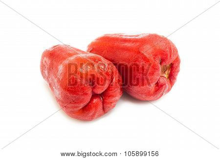 Roes apple fruit isolated on white background
