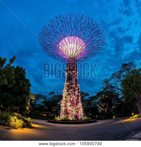 SINGAPORE - May 10: Night view of Supertree Grove at Gardens by the Bay on May 10, 2014 in Singapore