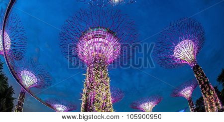 SINGAPORE - May 10: Night view of Supertree Grove at Gardens by the Bay on May 10, 2014 in Singapore