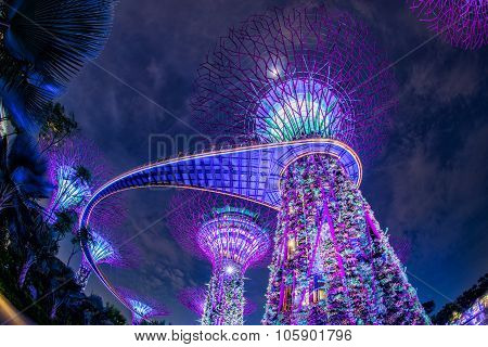 SINGAPORE - May 10: Night view of Supertree Grove at Gardens by the Bay on May 10, 2014 in Singapore