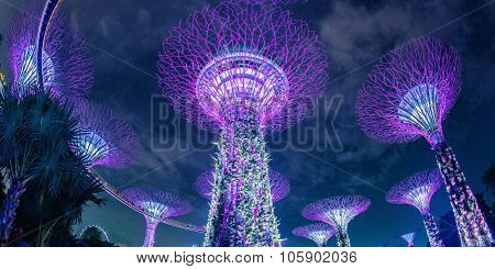 SINGAPORE - May 10: Night view of Supertree Grove at Gardens by the Bay on May 10, 2014 in Singapore