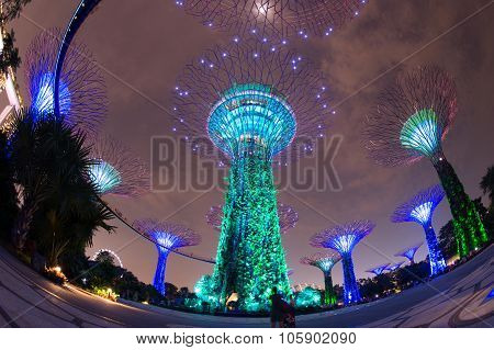 SINGAPORE - May 10: Night view of Supertree Grove at Gardens by the Bay on May 10, 2014 in Singapore