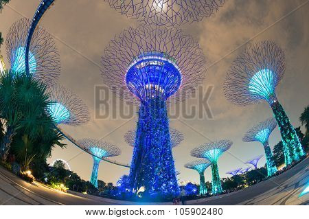 SINGAPORE - May 10: Night view of Supertree Grove at Gardens by the Bay on May 10, 2014 in Singapore
