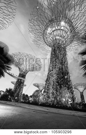 SINGAPORE - May 10: Night view of Supertree Grove at Gardens by the Bay on May 10, 2014 in Singapore