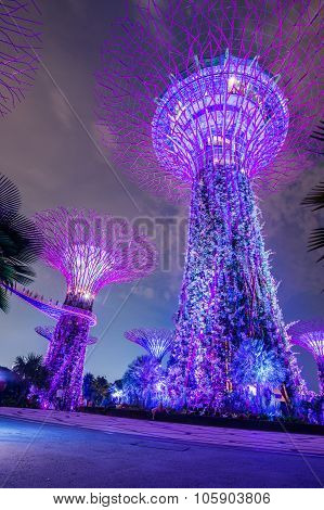 SINGAPORE - May 10: Night view of Supertree Grove at Gardens by the Bay on May 10, 2014 in Singapore
