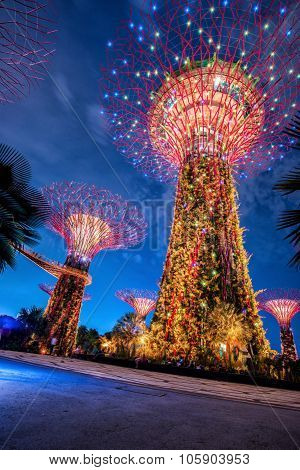 SINGAPORE - May 10: Night view of Supertree Grove at Gardens by the Bay on May 10, 2014 in Singapore