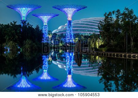 SINGAPORE - May 10: Night view of Supertree Grove at Gardens by the Bay on May 10, 2014 in Singapore