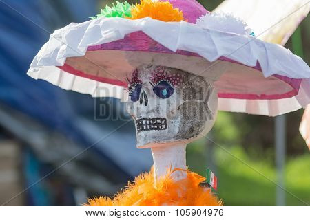 Skeleton Sculpture On Display