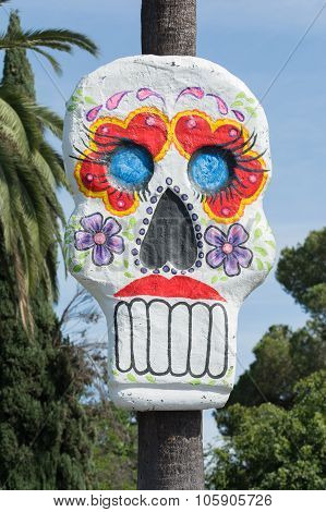 Skull Sculpture On Display