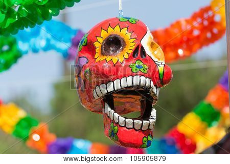 Skull Sculpture On Display