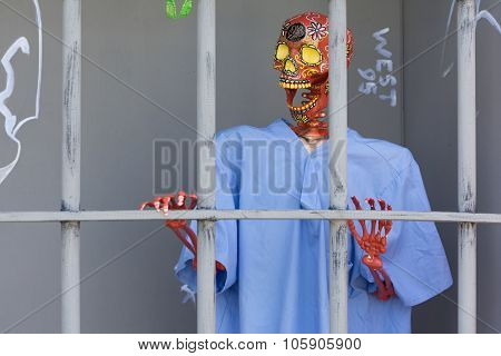 Skeleton Sculpture On Display