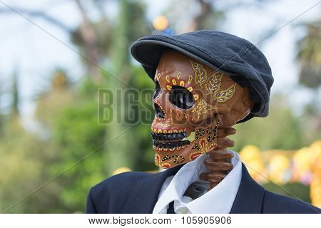 Skeleton Sculpture On Display