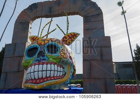 Skull Sculpture On Display