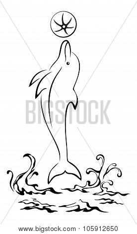 Dolphin, Waves and Ball Contours