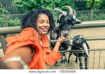Woman At Zoo