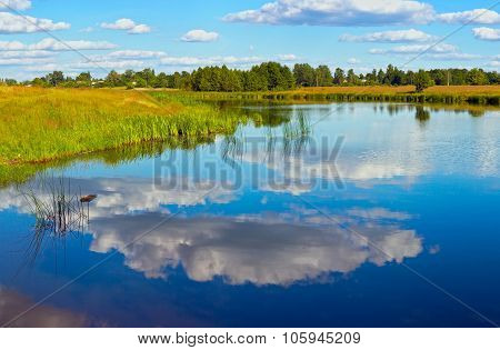 Summer Rushy Lake