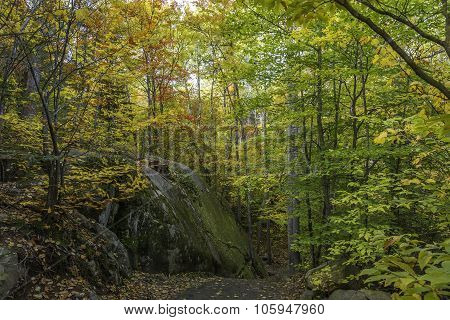 Large Precambrian Rock Next To A Trail - Ontario, Canada