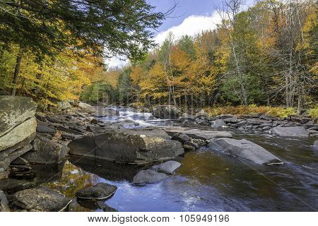 River Flowing Through A Forest In Autumn - Ontario, Canada
