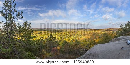 Panorama Of A Forest In Fall Colour - Ontario, Canada