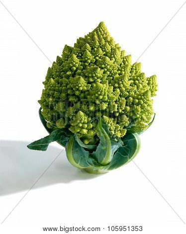 Decorate Broccoflower - Brocolli Isolated On White Background