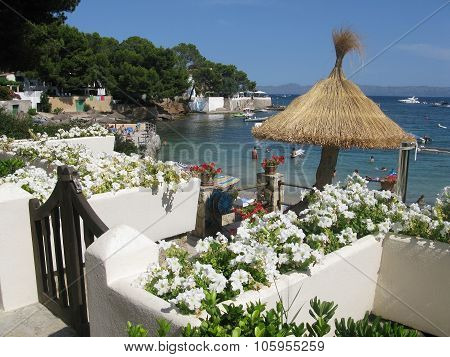 Flowers and straw parasol