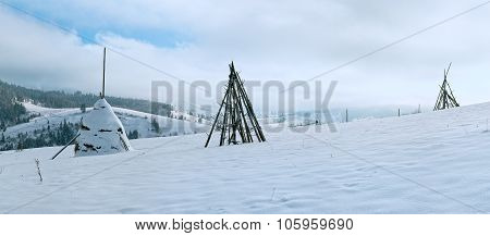 Winter Landscape