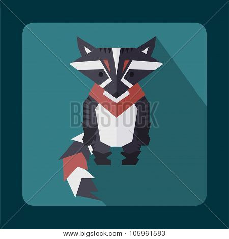 flat raccoon