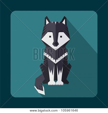 flat wolf