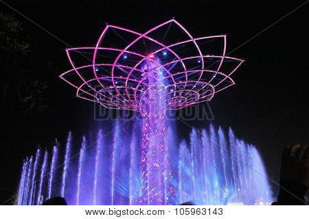 expo