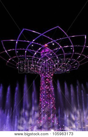 expo