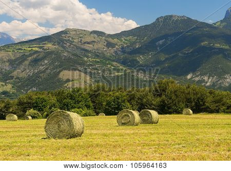Landscape In Haute Provence
