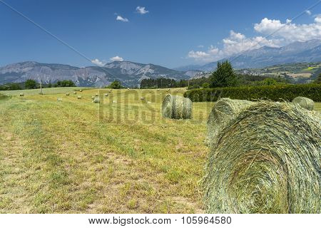 Landscape In Haute Provence