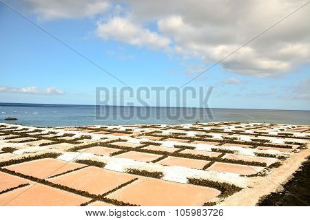 Salt Flats in the Canry islands