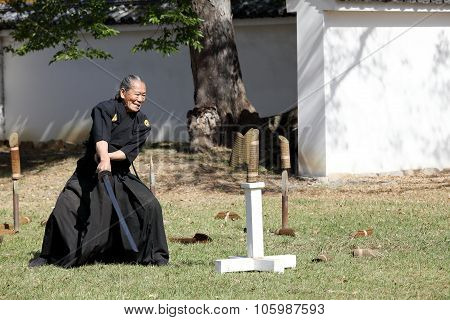Japanese martial art with katana sword
