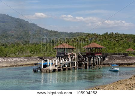 Indonesian Landscape With Mangrove And View Point Walkway
